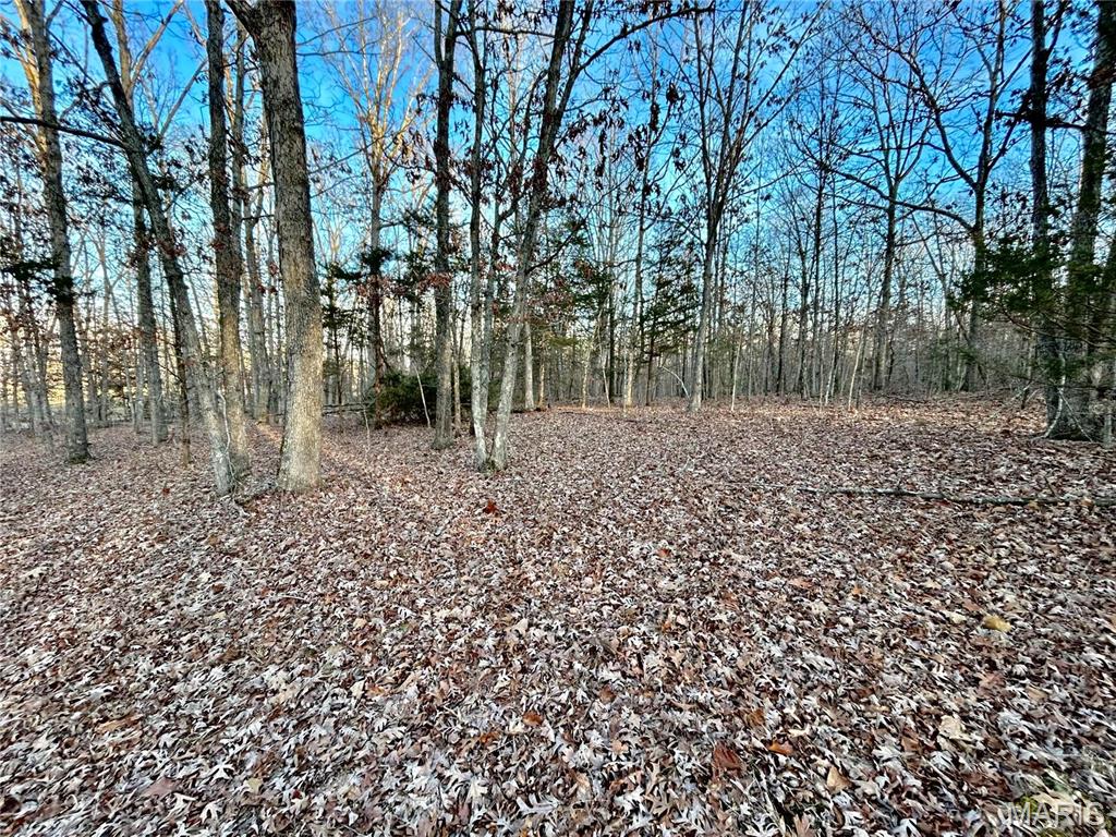 Photo 3 - Farm for sale – 0  TBD Tract 1 Highway CC   Salem, MO