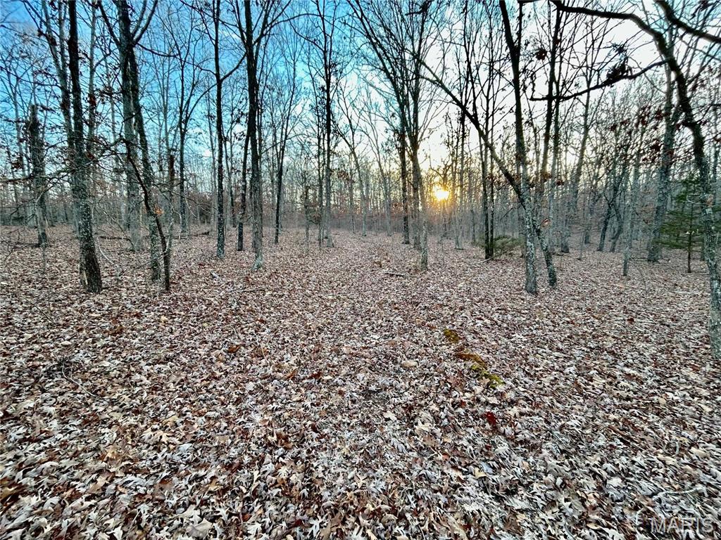 Photo 4 - Farm for sale – 0  TBD Tract 1 Highway CC   Salem, MO