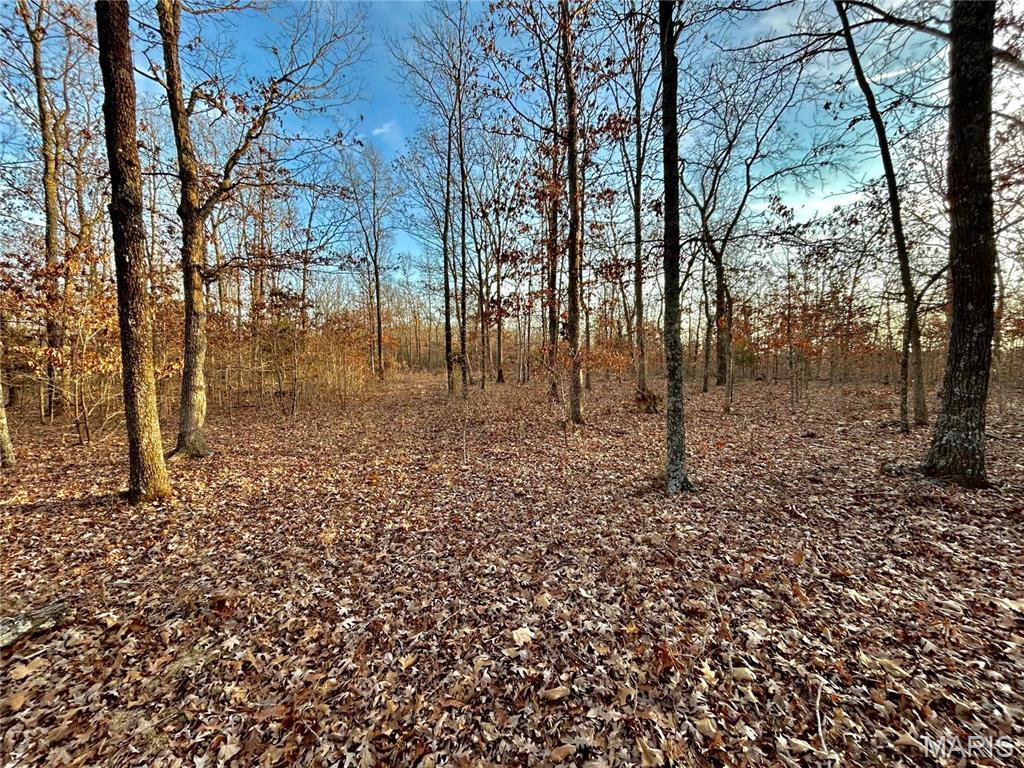 Photo 2 - Farm for sale – 0  TBD Tract 1 Highway CC   Salem, MO