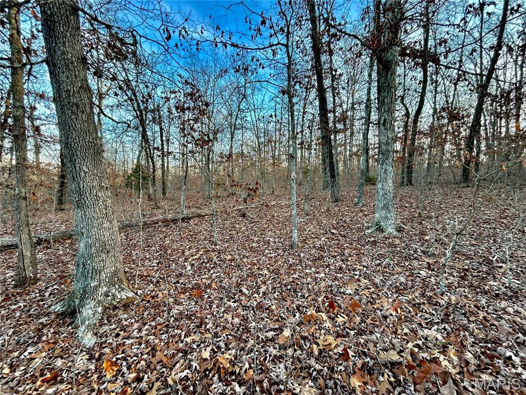 Photo 8 - Farm for sale – 0  TBD Tract 1 Highway CC   Salem, MO