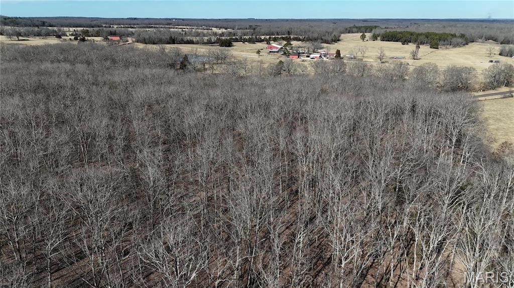 Photo 10 - Farm for sale – 0  TBD Tract 1 Highway CC   Salem, MO