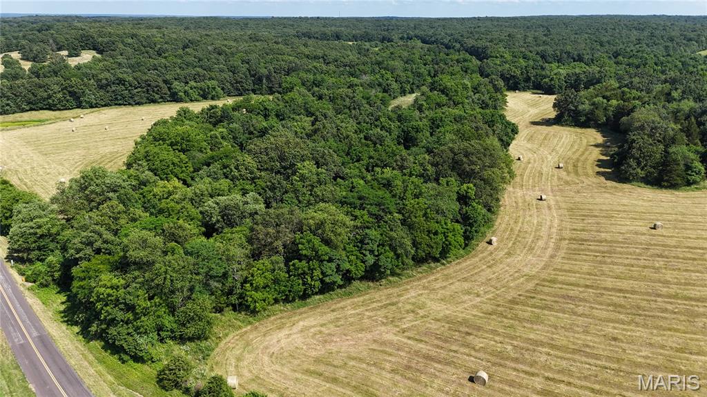 Photo 16 - Farm for sale – 0  TBD Tract 2 Highway CC   Salem, MO