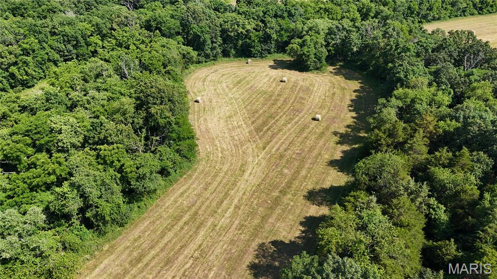 Photo 11 - Farm for sale – 0  TBD Tract 2 Highway CC   Salem, MO