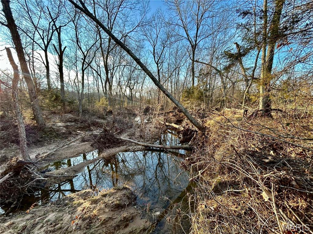 Photo 43 - Farm for sale – 0  TBD Tract 2 Highway CC   Salem, MO