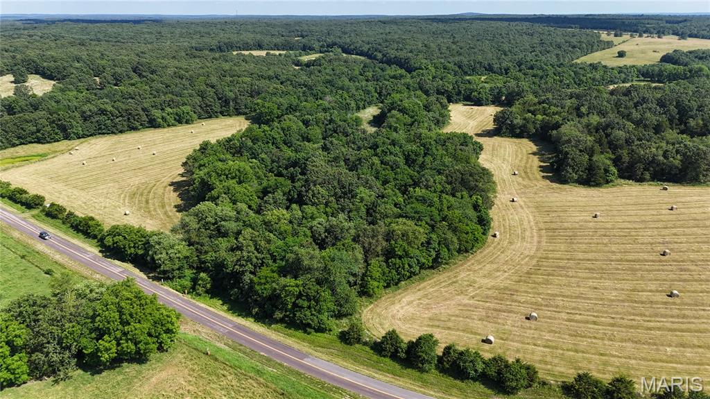 Photo 9 - Farm for sale – 0  TBD Tract 2 Highway CC   Salem, MO