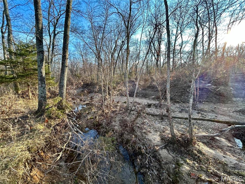Photo 42 - Farm for sale – 0  TBD Tract 2 Highway CC   Salem, MO