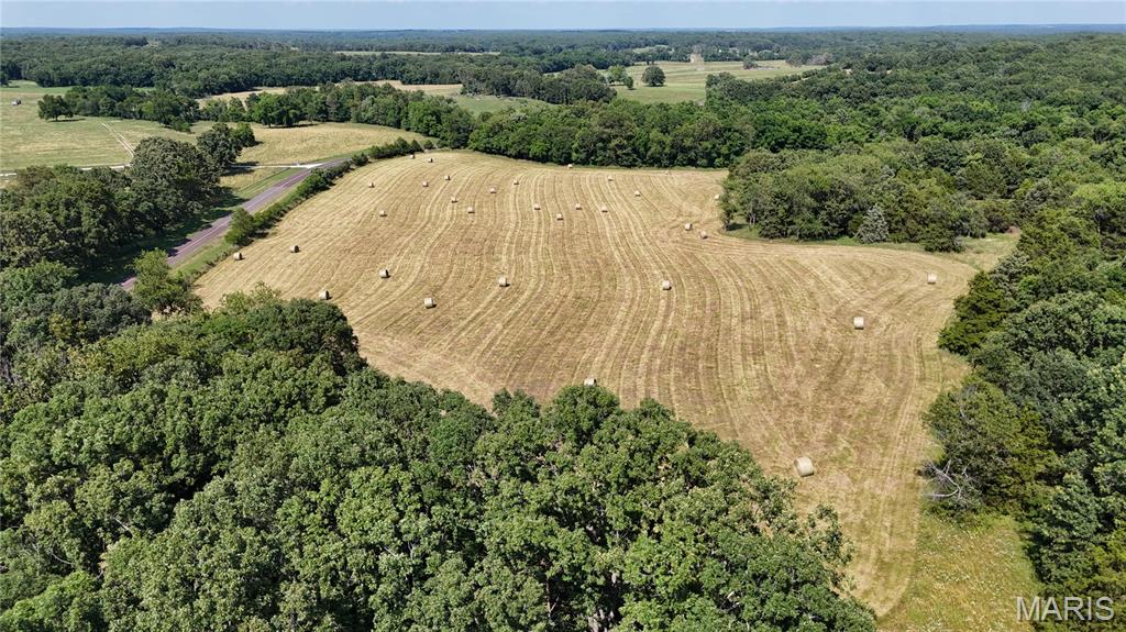 Photo 14 - Farm for sale – 0  TBD Tract 2 Highway CC   Salem, MO