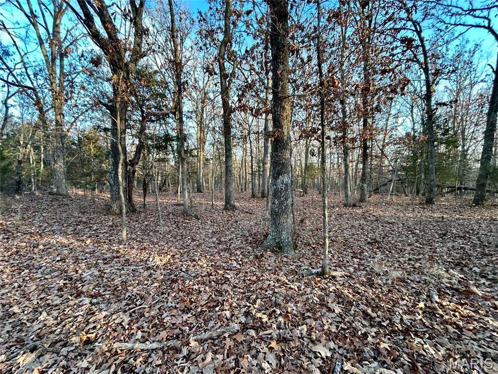 Photo 44 - Farm for sale – 0  TBD Tract 2 Highway CC   Salem, MO