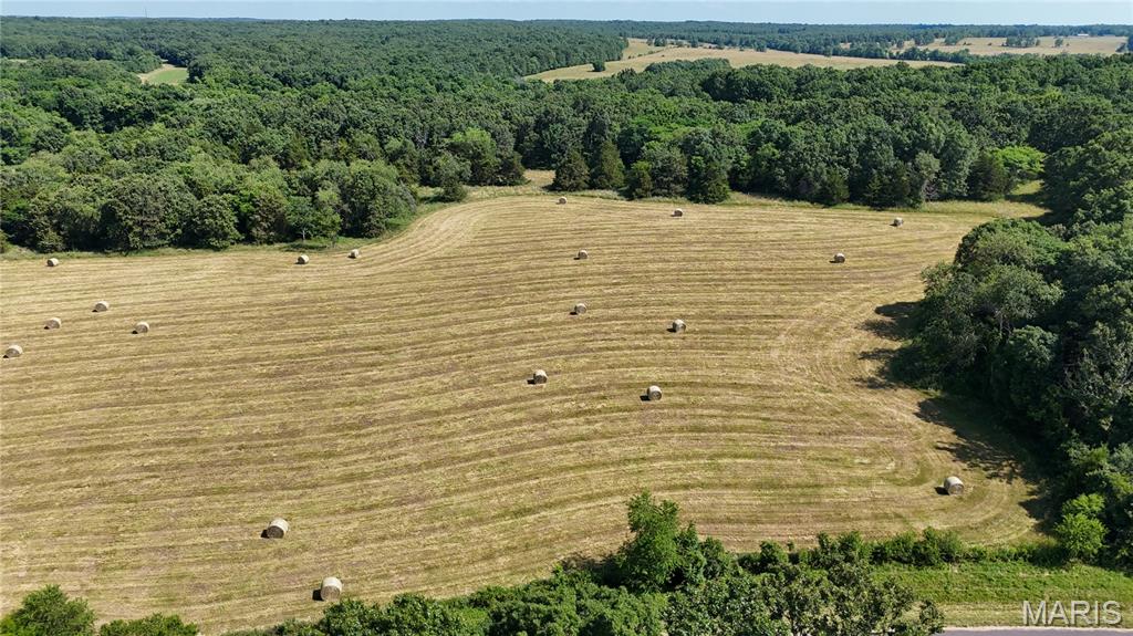 Photo 13 - Farm for sale – 0  TBD Tract 2 Highway CC   Salem, MO