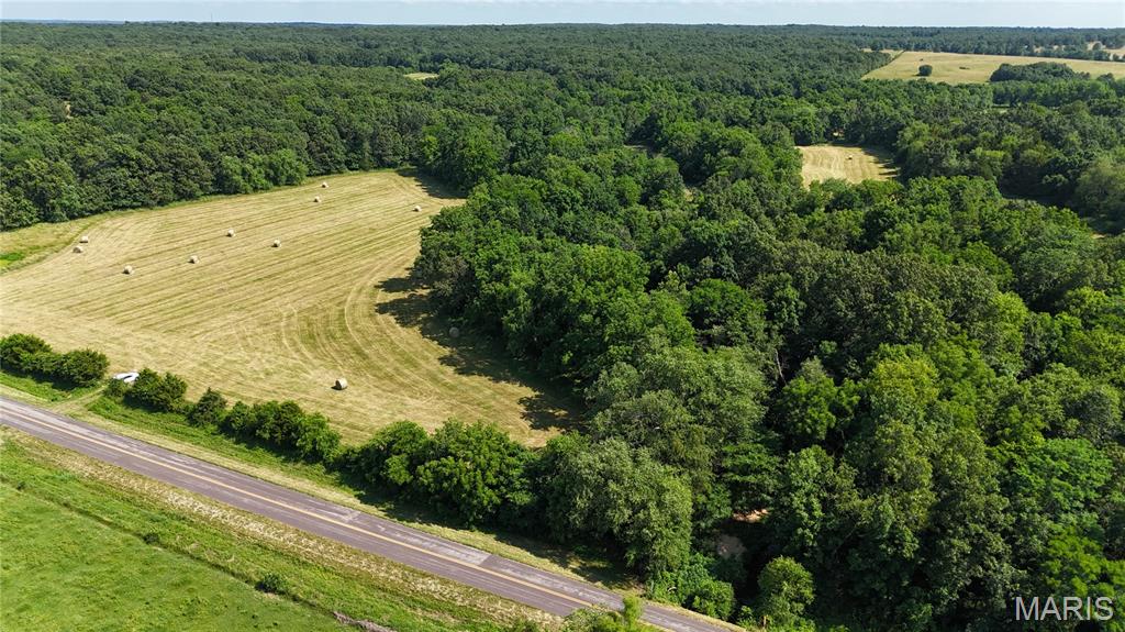 Photo 10 - Farm for sale – 0  TBD Tract 2 Highway CC   Salem, MO
