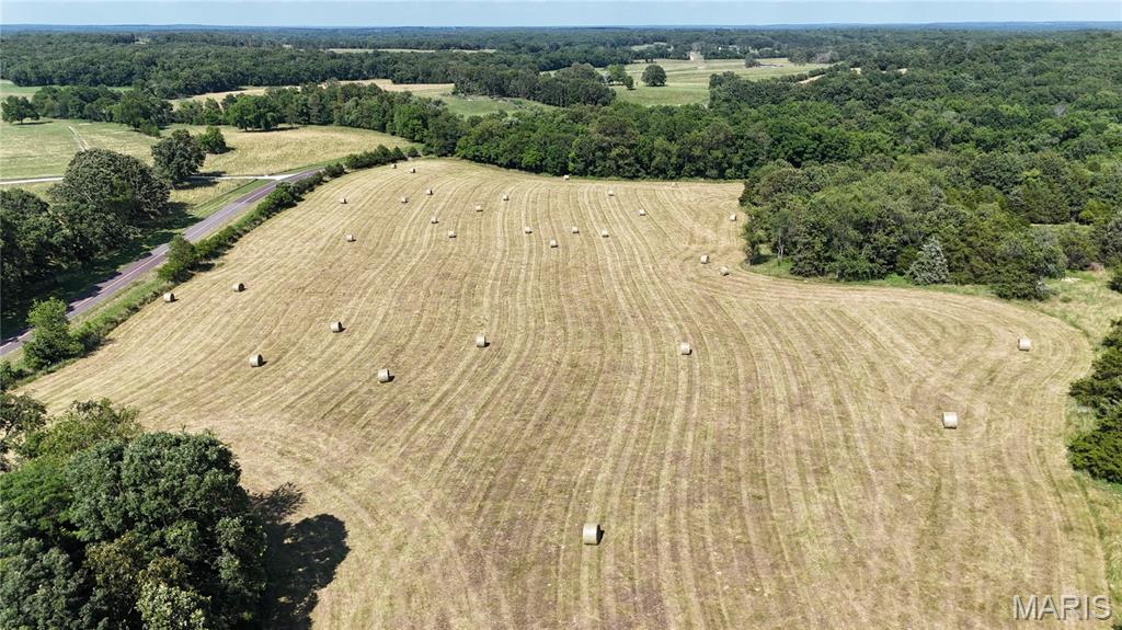 Photo 4 - Farm for sale – 0  TBD Tract 2 Highway CC   Salem, MO