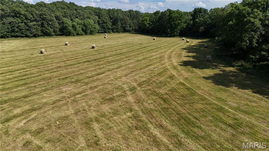 Photo 15 - Farm for sale – 0  TBD Tract 2 Highway CC   Salem, MO