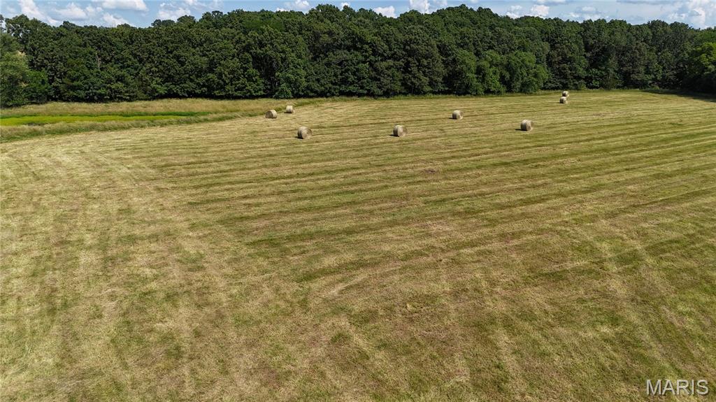 Photo 18 - Farm for sale – 0  TBD Tract 2 Highway CC   Salem, MO