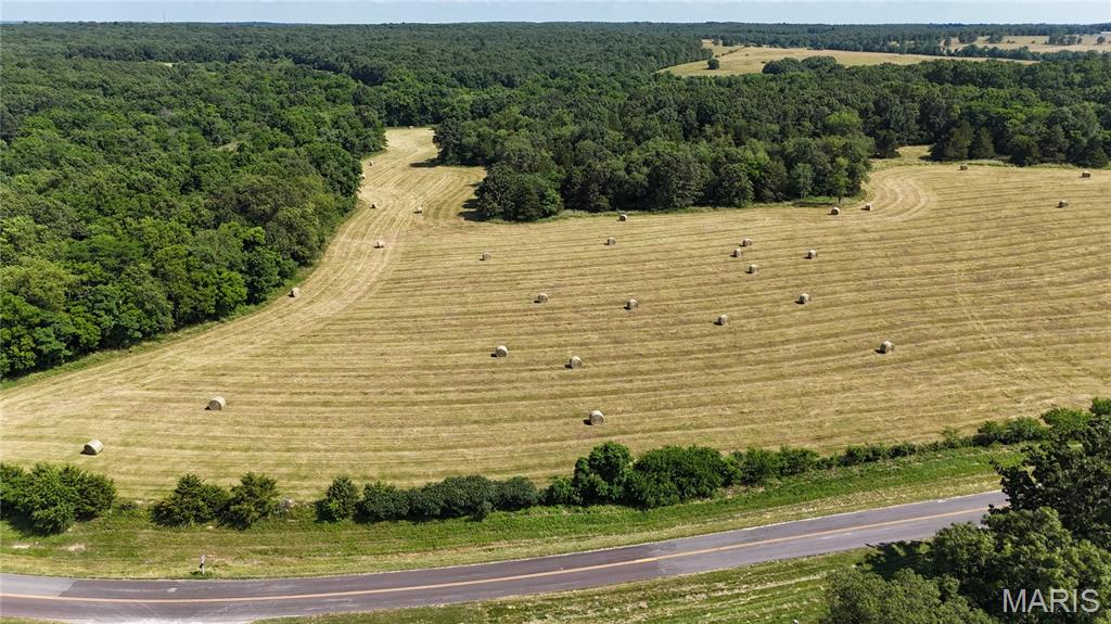 Photo 7 - Farm for sale – 0  TBD Tract 2 Highway CC   Salem, MO