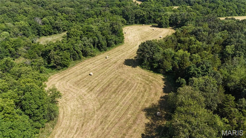 Photo 12 - Farm for sale – 0  TBD Tract 2 Highway CC   Salem, MO
