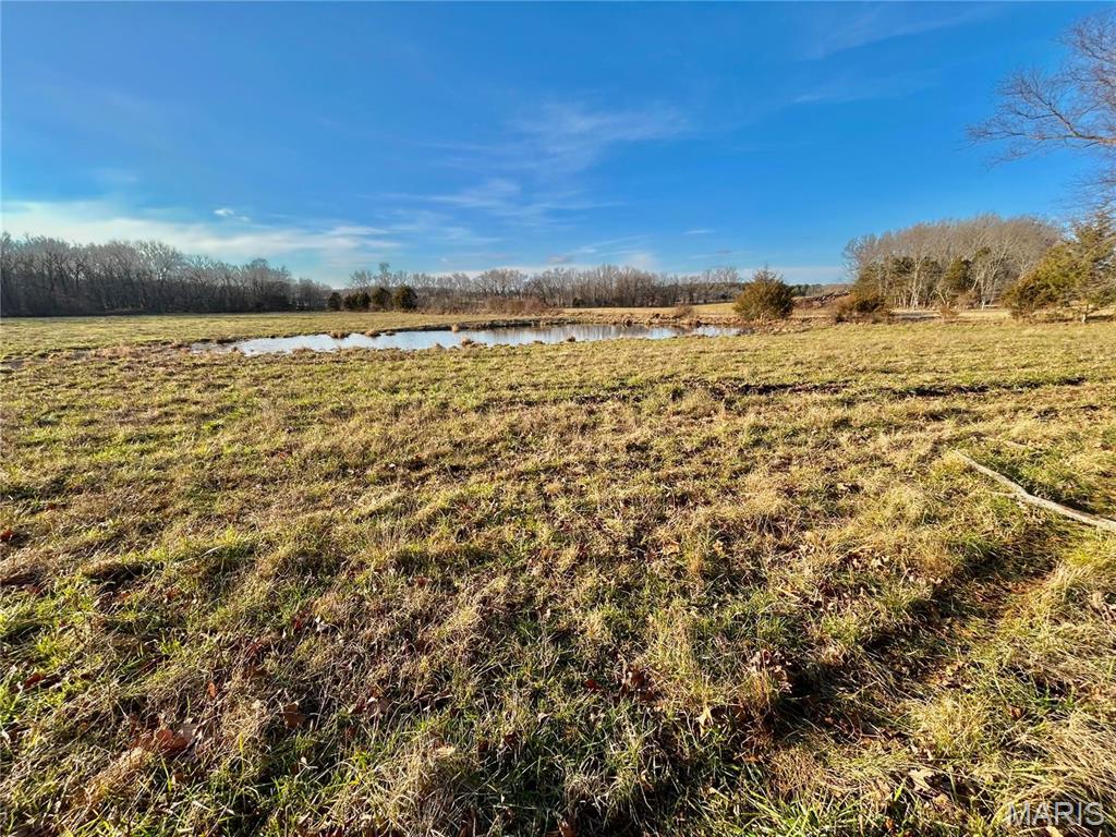 Photo 30 - Farm for sale – 0  TBD Tract 2 Highway CC   Salem, MO