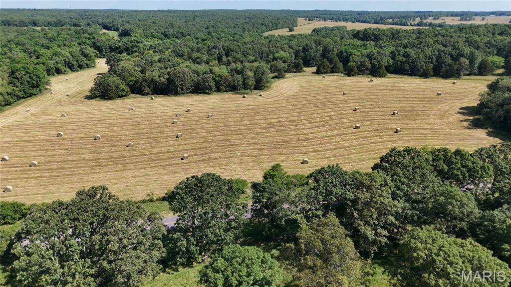 Photo 8 - Farm for sale – 0  TBD Tract 2 Highway CC   Salem, MO