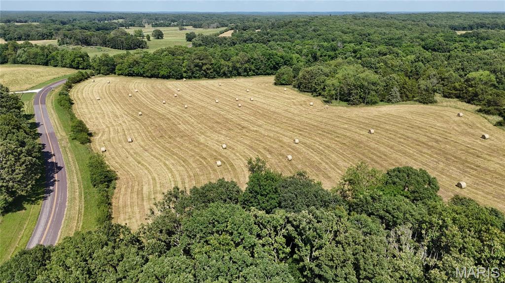 Photo 2 - Farm for sale – 0  TBD Tract 2 Highway CC   Salem, MO