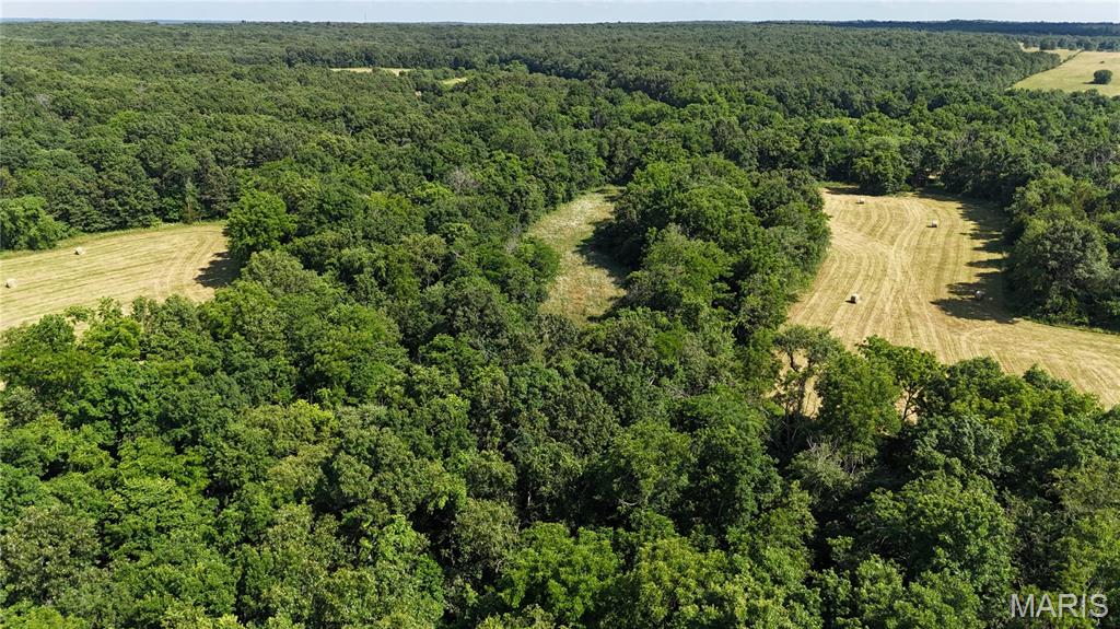 Photo 17 - Farm for sale – 0  TBD Tract 2 Highway CC   Salem, MO
