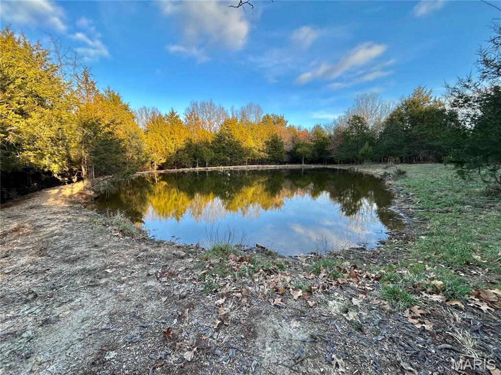Photo 28 - Farm for sale – 0  TBD Tract 2 Highway CC   Salem, MO