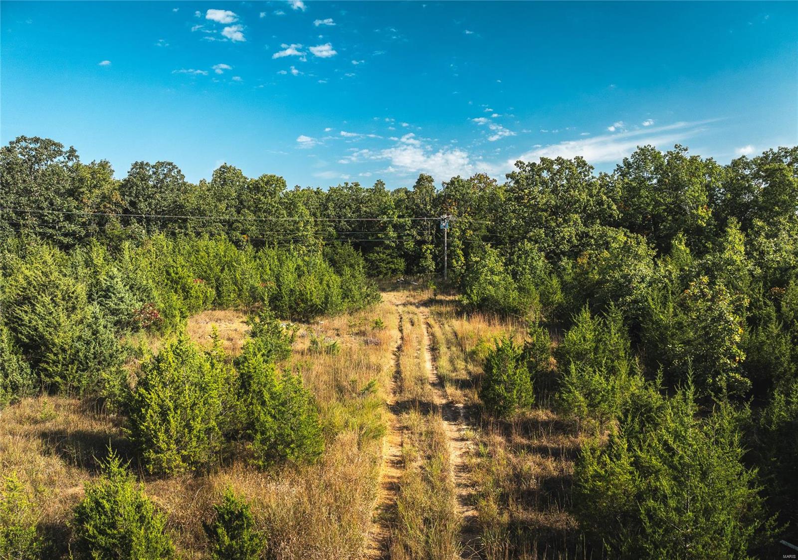 Photo 4 - Farm for sale – 20  acres, Old Highway 66   Rolla, MO