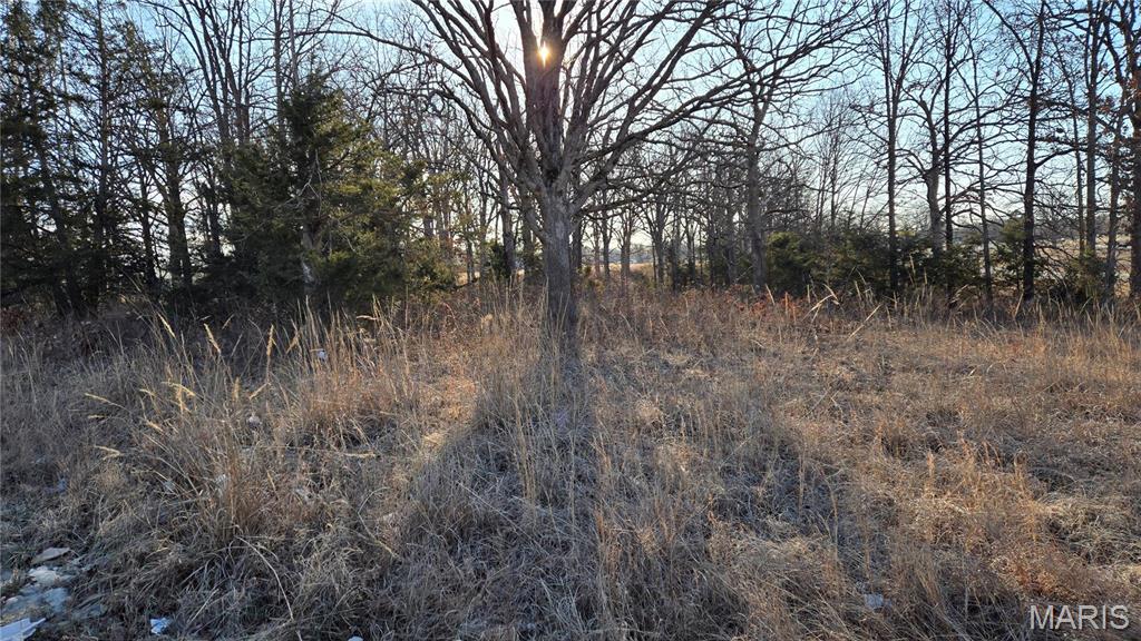 Photo 3 - Land for sale – 0  Schofer Street  Newburg, MO