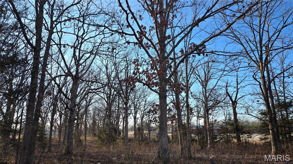 Photo 5 - Land for sale – 0  Schofer Street  Newburg, MO