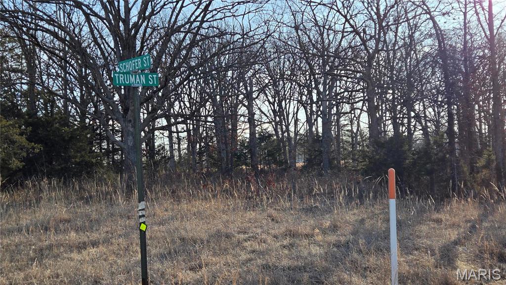 Land for sale – 0  Schofer Street  Newburg, MO