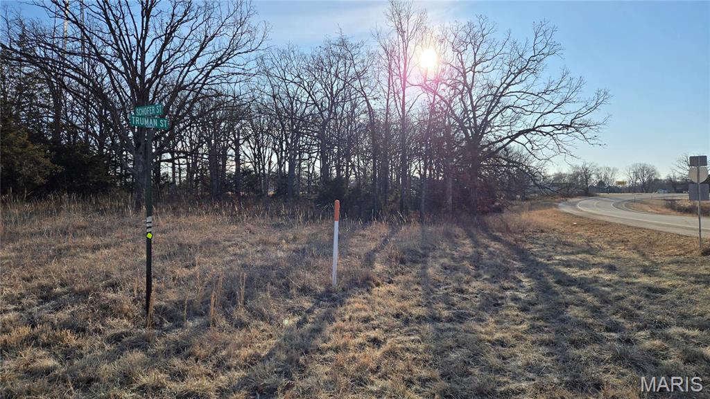 Photo 2 - Land for sale – 0  Schofer Street  Newburg, MO