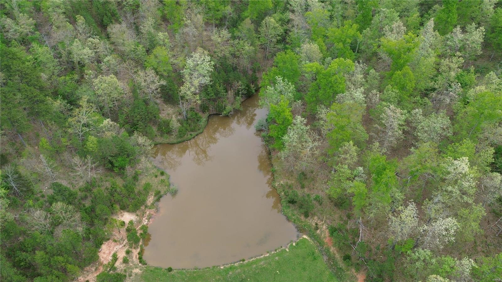 Photo 7 - Farm for sale – 0  Ashley Crk Road   Other, MO