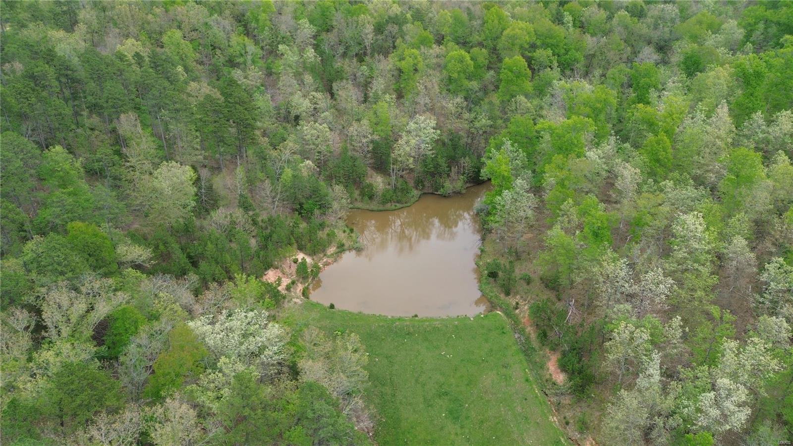 Photo 3 - Farm for sale – 0  Ashley Crk Road   Other, MO