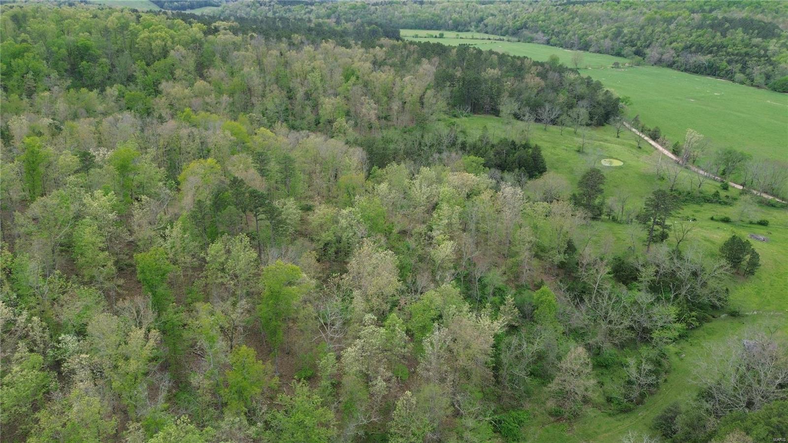 Photo 5 - Farm for sale – 0  Ashley Crk Road   Other, MO