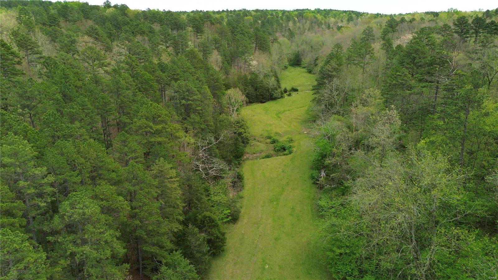 Photo 50 - Farm for sale – 10110  Ashley Creek Road   Salem, MO