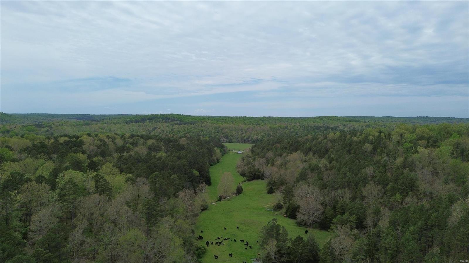 Photo 52 - Farm for sale – 10110  Ashley Creek Road   Salem, MO