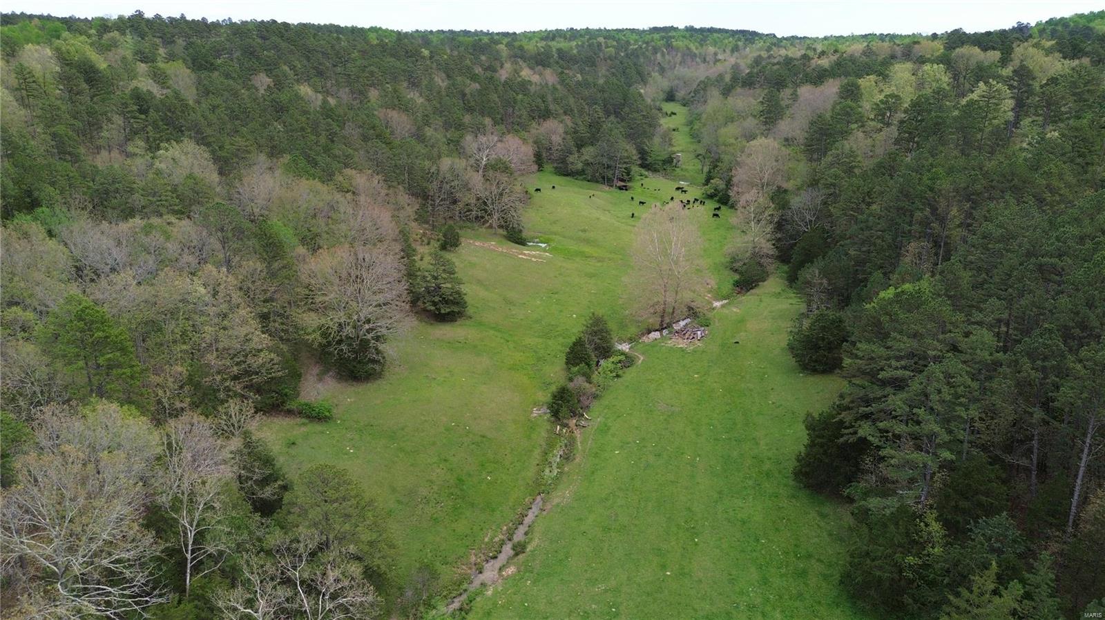 Photo 47 - Farm for sale – 10110  Ashley Creek Road   Salem, MO