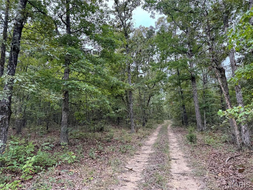 Photo 6 - Farm for sale – 689  Hoot Owl Lane  Grandin, MO