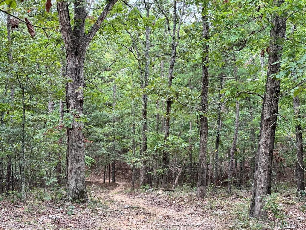 Photo 4 - Farm for sale – 689  Hoot Owl Lane  Grandin, MO