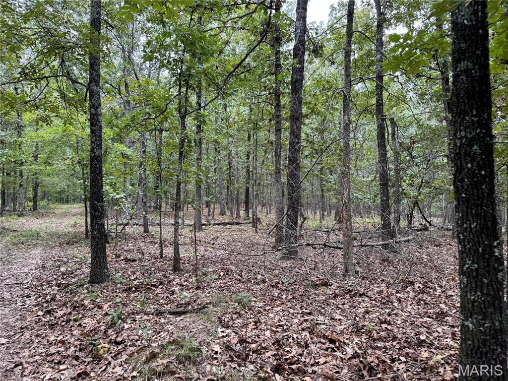 Photo 10 - Farm for sale – 689  Hoot Owl Lane  Grandin, MO