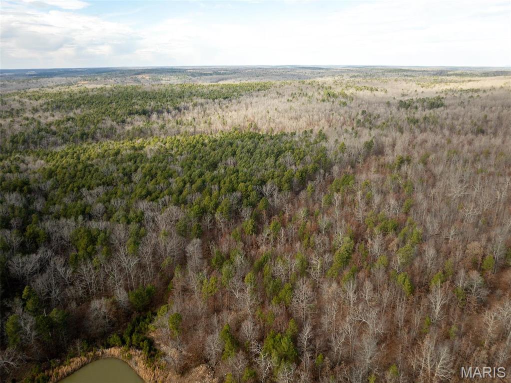 Photo 53 - Farm for sale – 689  Hoot Owl Lane  Grandin, MO