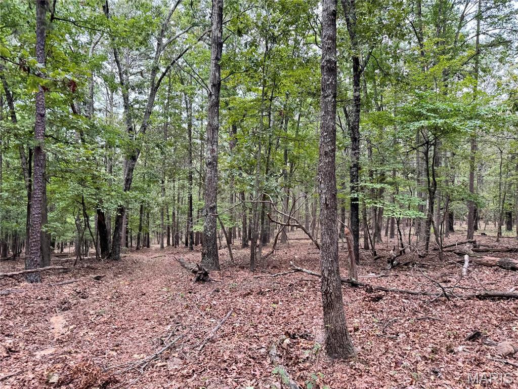 Photo 12 - Farm for sale – 689  Hoot Owl Lane  Grandin, MO