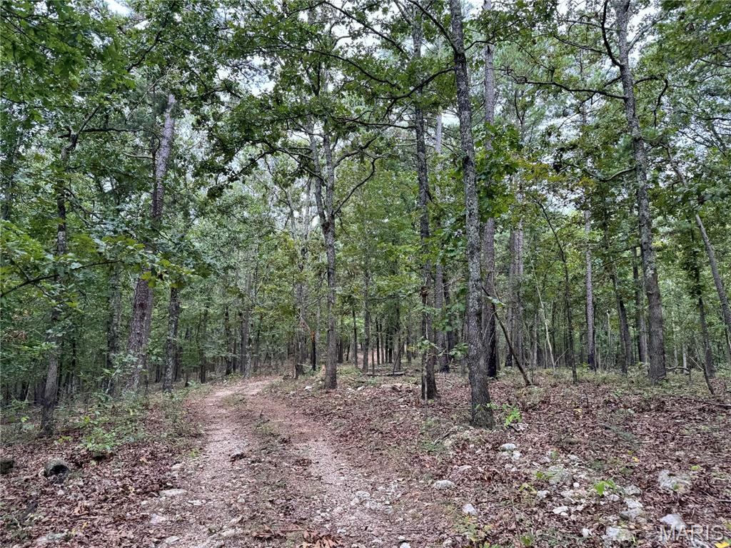 Photo 3 - Farm for sale – 689  Hoot Owl Lane  Grandin, MO