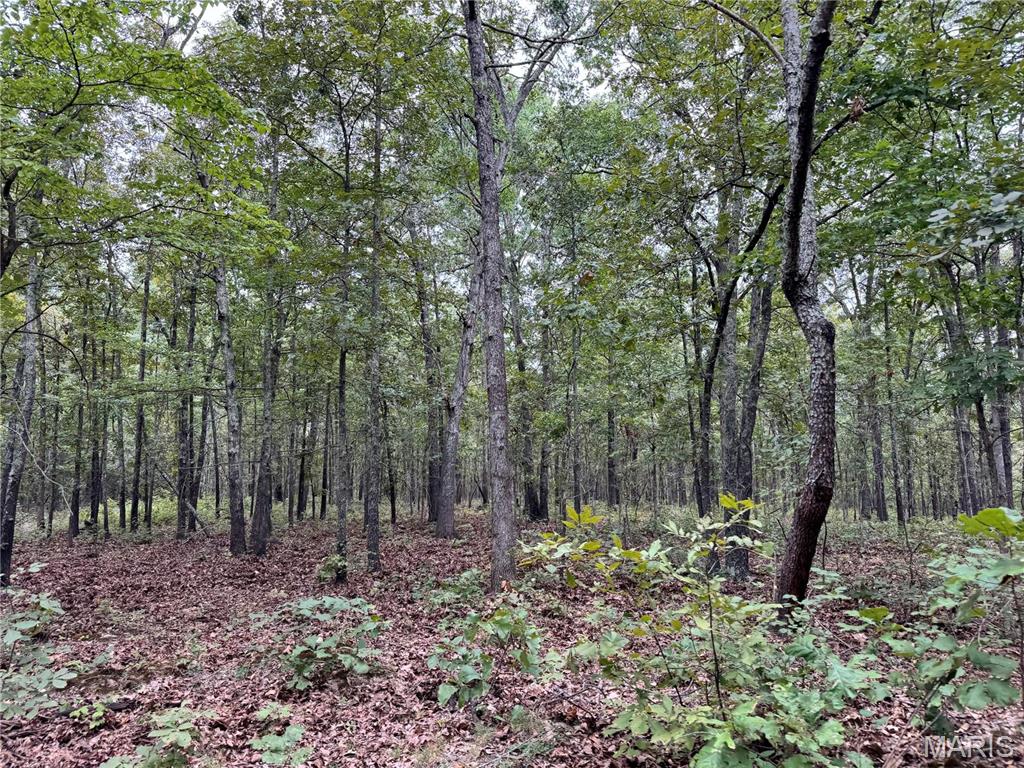 Photo 7 - Farm for sale – 689  Hoot Owl Lane  Grandin, MO