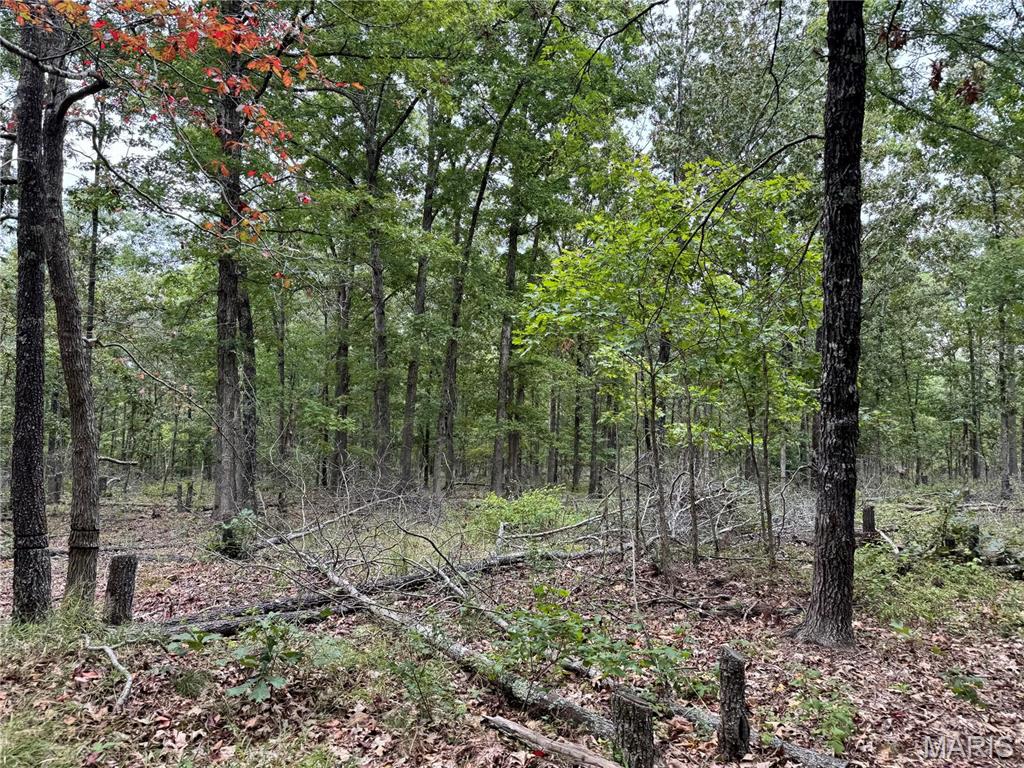 Photo 8 - Farm for sale – 689  Hoot Owl Lane  Grandin, MO