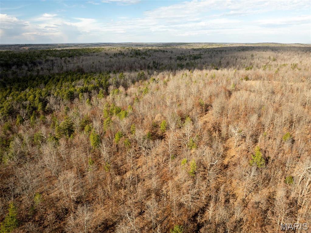 Photo 49 - Farm for sale – 689  Hoot Owl Lane  Grandin, MO