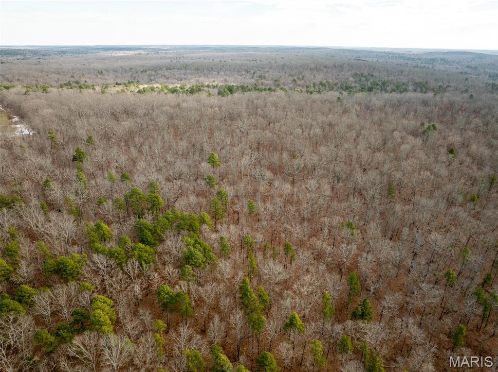 Photo 48 - Farm for sale – 689  Hoot Owl Lane  Grandin, MO