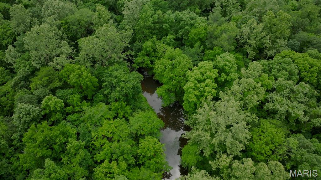 Photo 39 - Farm for sale – 689  Hoot Owl Lane  Grandin, MO