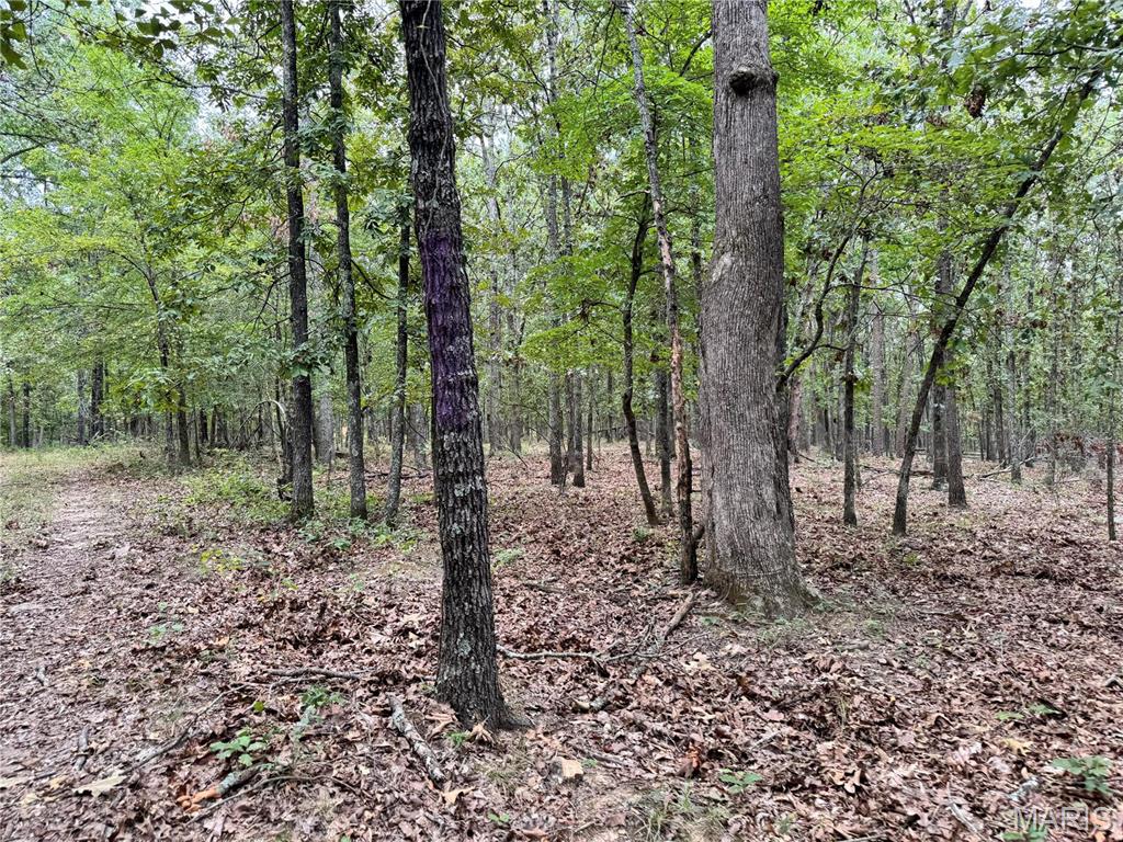 Photo 11 - Farm for sale – 689  Hoot Owl Lane  Grandin, MO