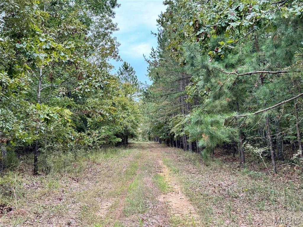 Photo 33 - Farm for sale – 689  Hoot Owl Lane  Grandin, MO