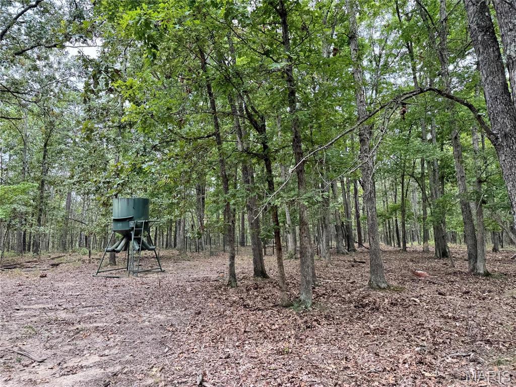 Photo 13 - Farm for sale – 689  Hoot Owl Lane  Grandin, MO