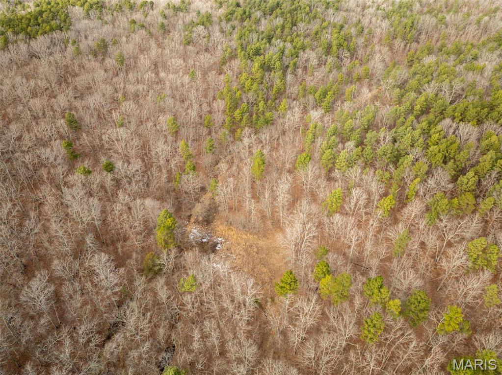 Photo 46 - Farm for sale – 689  Hoot Owl Lane  Grandin, MO